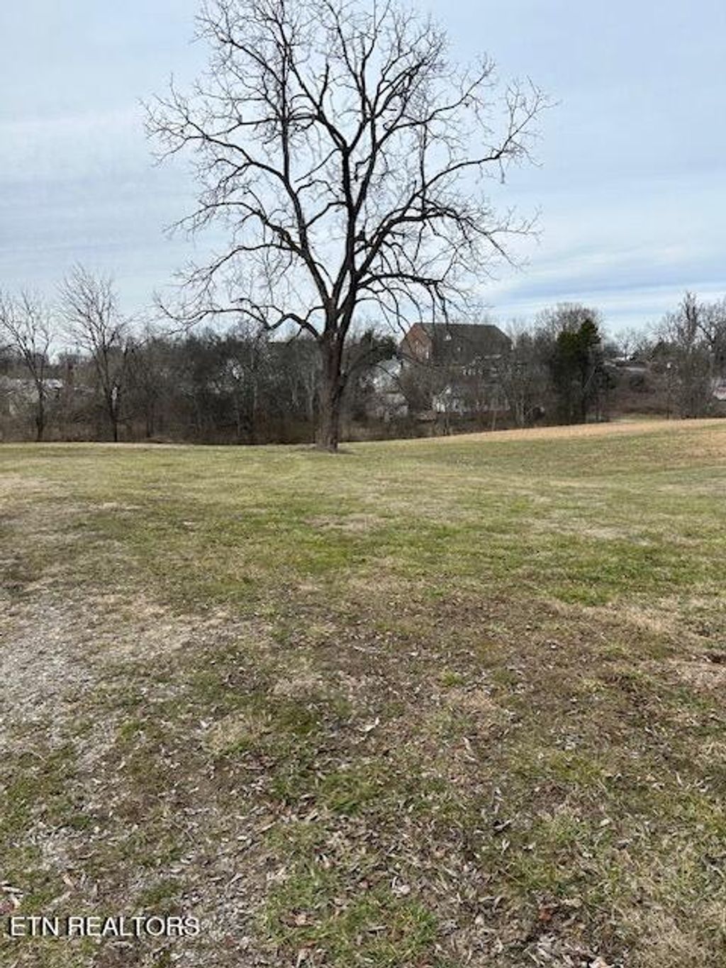 Photo of 210 S Front St, Friendsville, TN 37737 (MLS # 1251599)