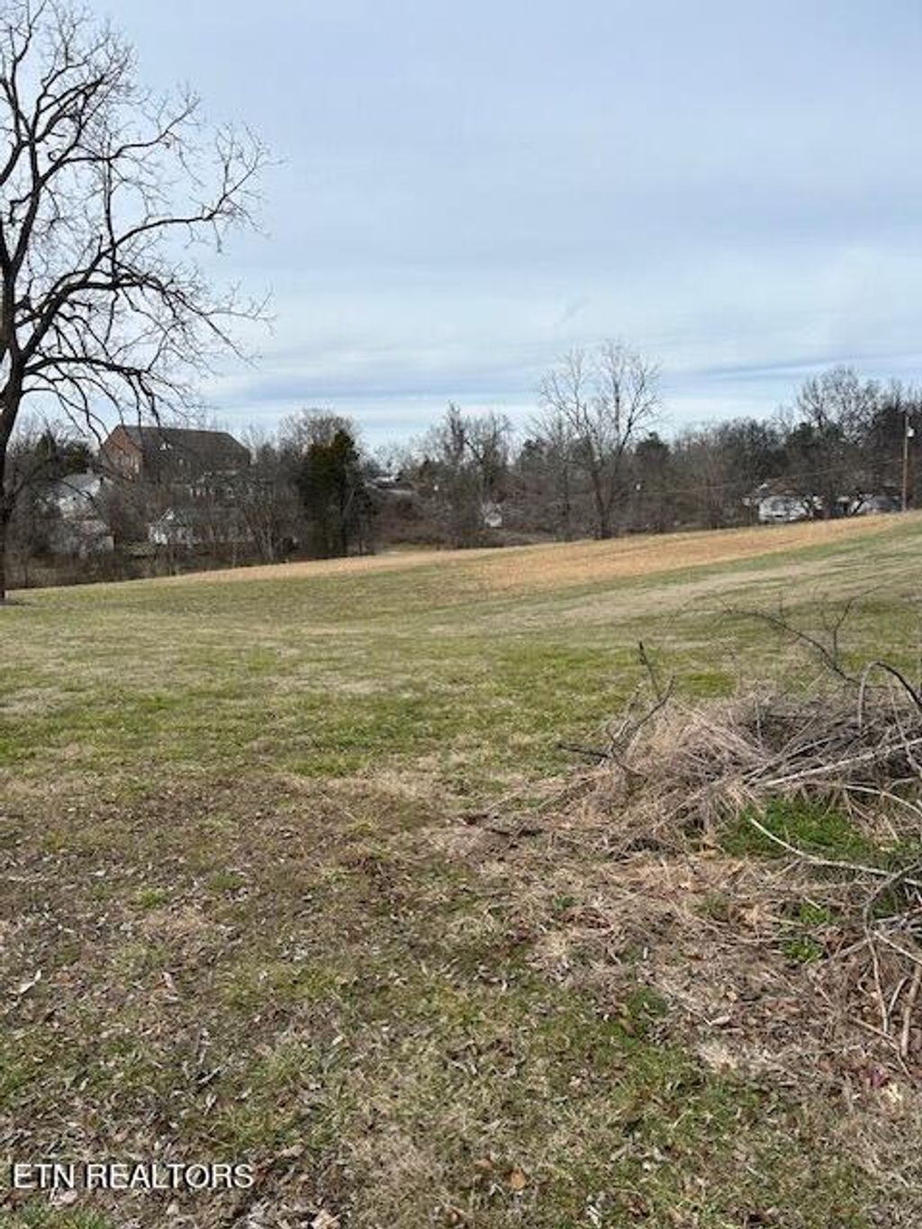 Photo of 210 S Front St, Friendsville, TN 37737 (MLS # 1251599)