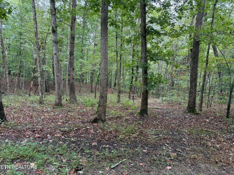 Tiny photo for 113 Hunterwood Lane, Crossville, TN 38558 (MLS # 1356176)