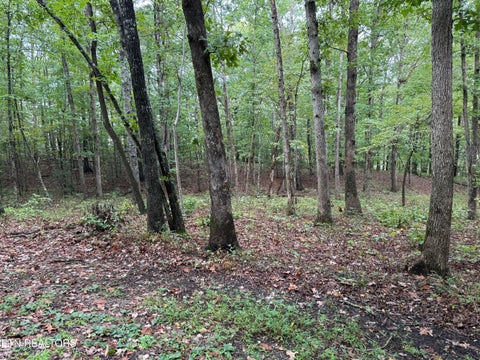 Tiny photo for 113 Hunterwood Lane, Crossville, TN 38558 (MLS # 1356176)