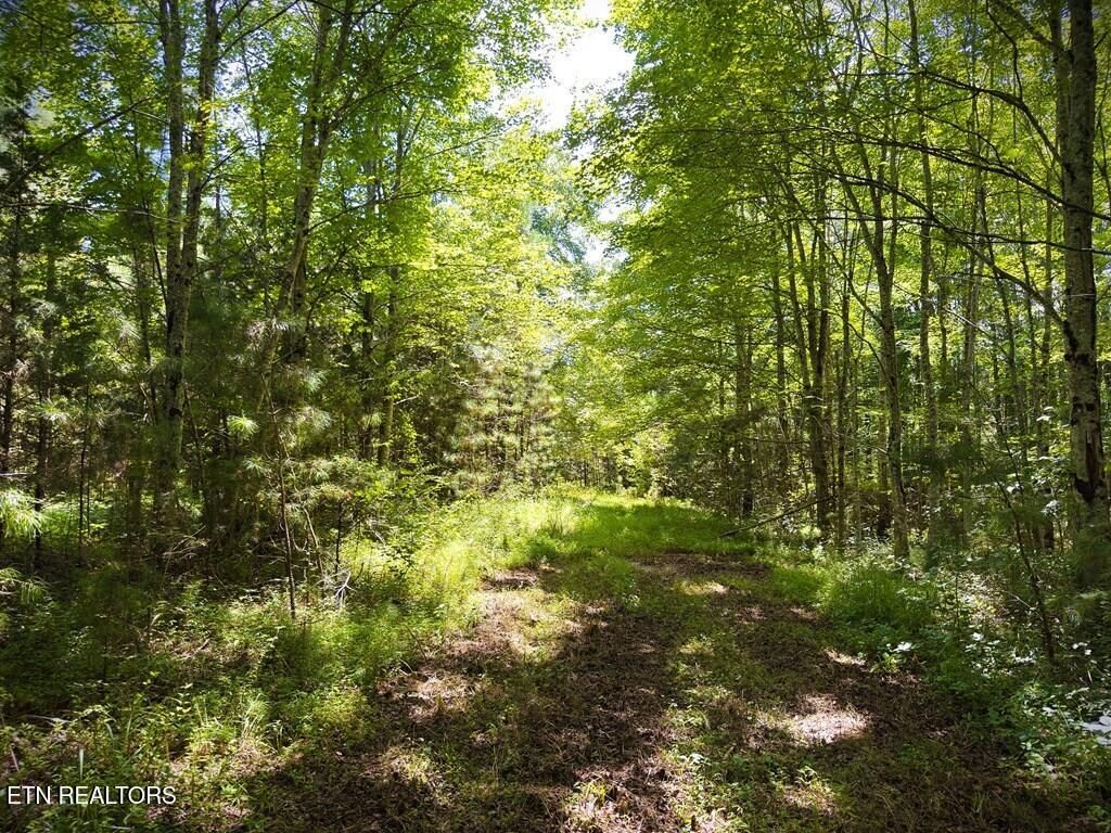 Photo of 00 Marcrom rd, Morristown, TN 37357 (MLS # 1333772)