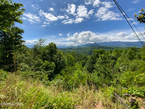 Tiny photo for 505 Crest Rd, Gatlinburg, TN 37738 (MLS # 1341366)