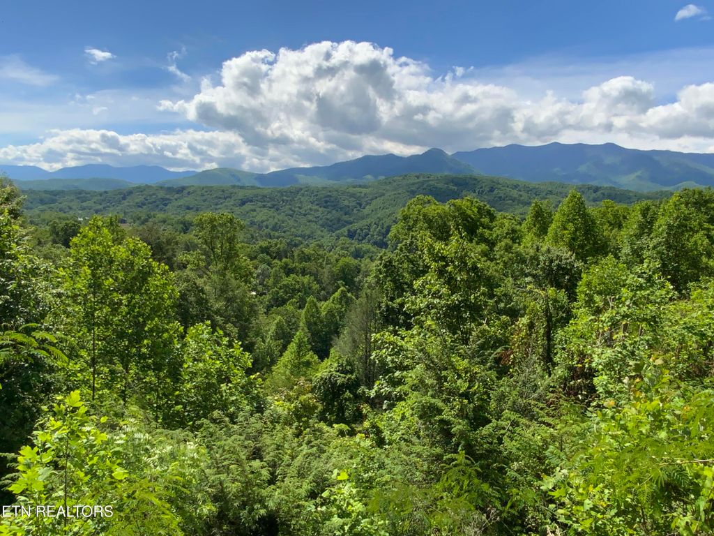 Photo of 505 Crest Rd, Gatlinburg, TN 37738 (MLS # 1341366)