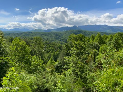 Tiny photo for 505 Crest Rd, Gatlinburg, TN 37738 (MLS # 1341366)