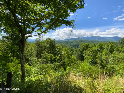 Tiny photo for 505 Crest Rd, Gatlinburg, TN 37738 (MLS # 1341366)