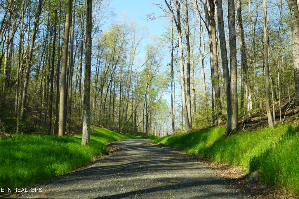 Photo of 465 Mel Hall Rd, Maryville, TN 37803 (MLS # 1336316)