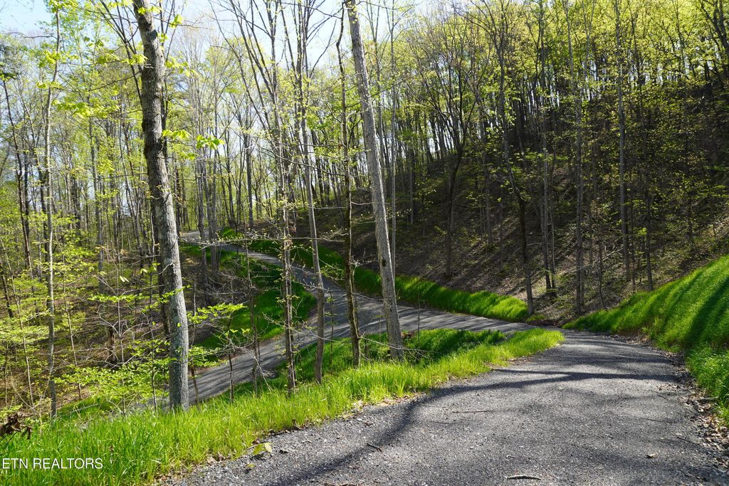 Photo of 465 Mel Hall Rd, Maryville, TN 37803 (MLS # 1336316)