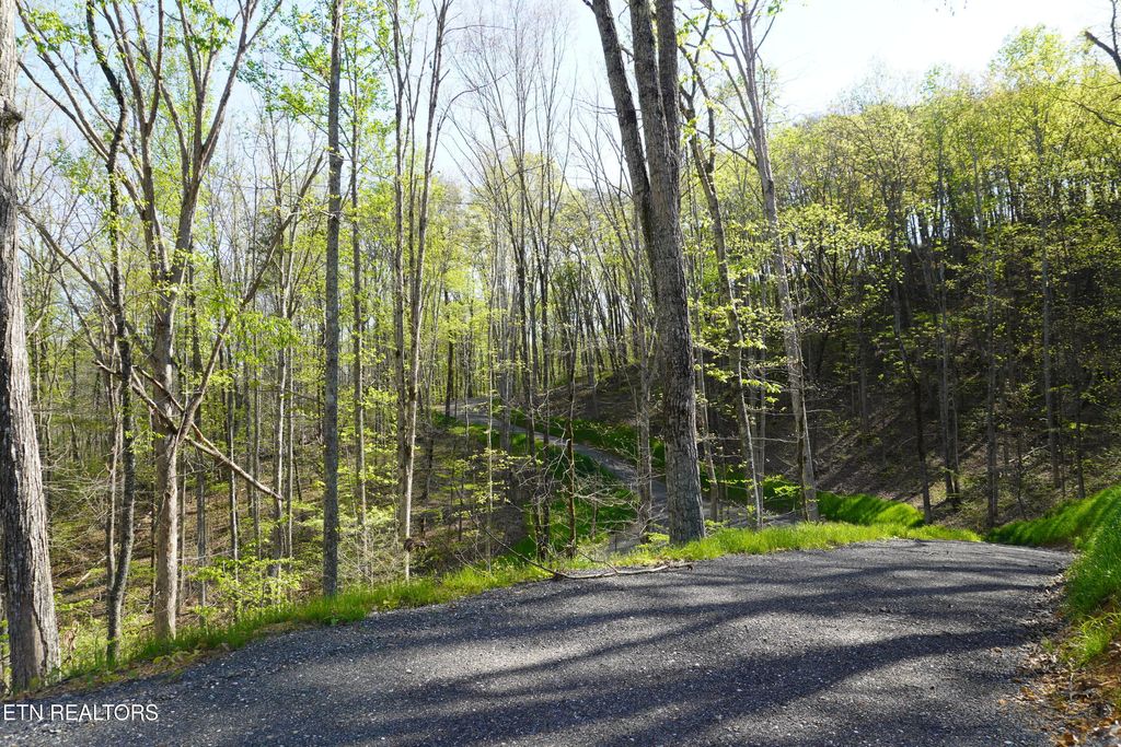 Photo of 465 Mel Hall Rd, Maryville, TN 37803 (MLS # 1336316)