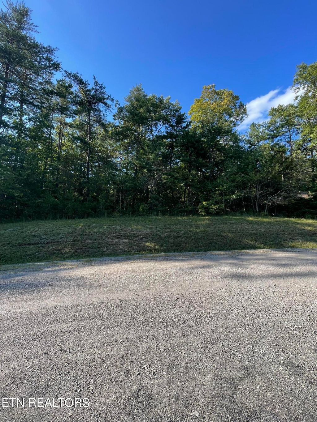 Photo of Lake Shore Drive, Monterey, TN 38574 (MLS # 1332029)