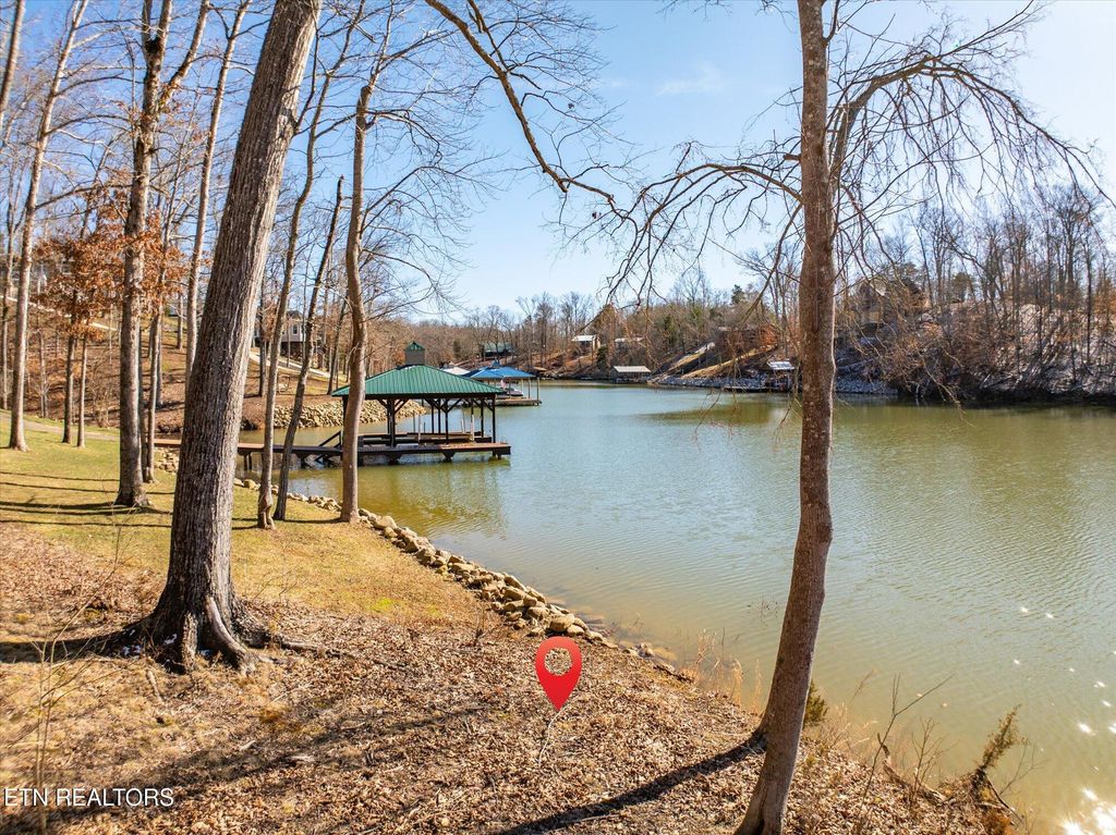 Photo of 64 Edgewater Way, Ten Mile, TN 37880 (MLS # 1314452)