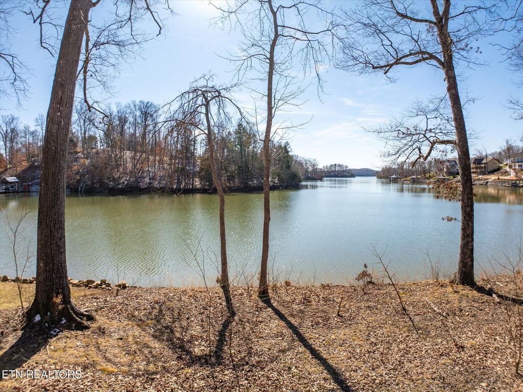 Photo of 64 Edgewater Way, Ten Mile, TN 37880 (MLS # 1314452)