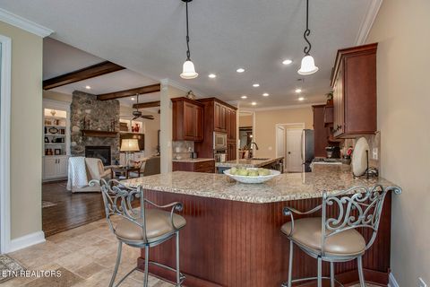 Tiny photo for 227 Kingbird Drive, Vonore, TN 37885 (MLS # 1343215)