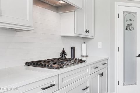 Tiny photo for 336 Justice Valley St, Farragut, TN 37934 (MLS # 1342349)