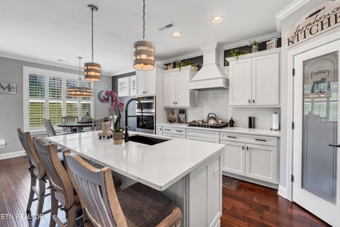 Tiny photo for 336 Justice Valley St, Farragut, TN 37934 (MLS # 1342349)