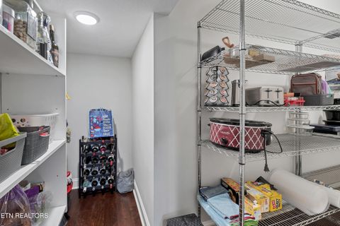 Tiny photo for 336 Justice Valley St, Farragut, TN 37934 (MLS # 1342349)