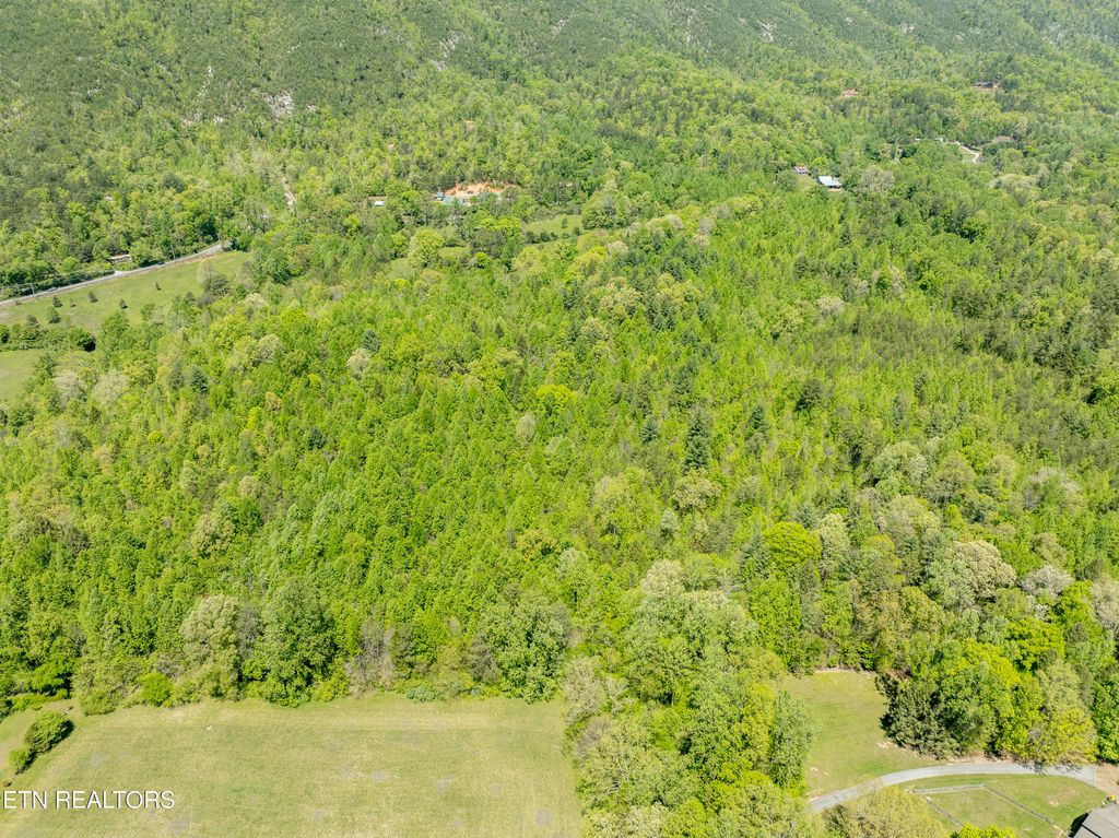 Photo of 604 E Millers Cove Rd, Walland, TN 37886 (MLS # 1339370)