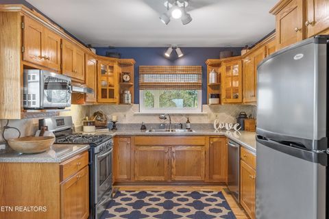 Tiny photo for 325 Russell Lane, Decatur, TN 37322 (MLS # 1336443)