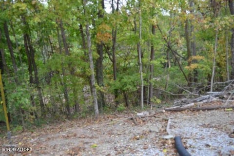 Tiny photo for 95 Cummins Court, Celina, TN 38551 (MLS # 1359470)
