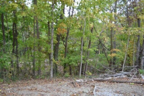Tiny photo for 95 Cummins Court, Celina, TN 38551 (MLS # 1359470)