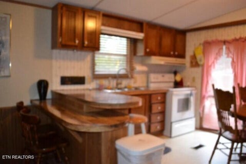 Tiny photo for 95 Cummins Court, Celina, TN 38551 (MLS # 1359470)