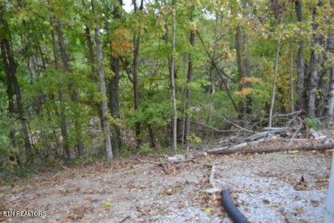 Tiny photo for 95 Cummins Court, Celina, TN 38551 (MLS # 1359470)