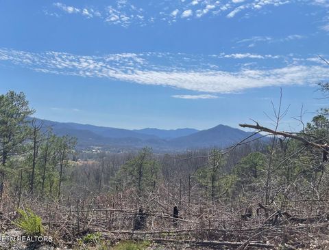 Tiny photo for 28 Whipoorwill Hill Way, Sevierville, TN 37862 (MLS # 1298385)