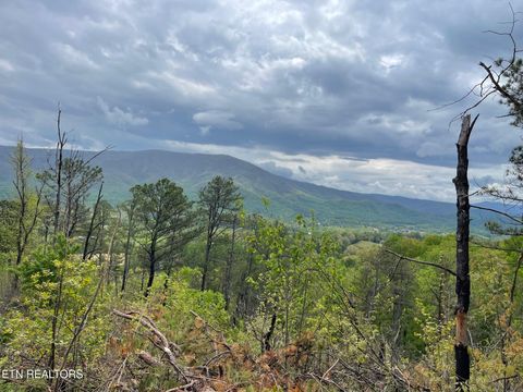 Tiny photo for 28 Whipoorwill Hill Way, Sevierville, TN 37862 (MLS # 1298385)