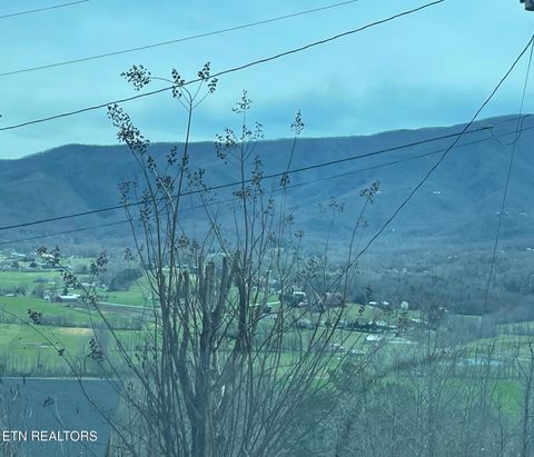 Tiny photo for 28 Whipoorwill Hill Way, Sevierville, TN 37862 (MLS # 1298385)