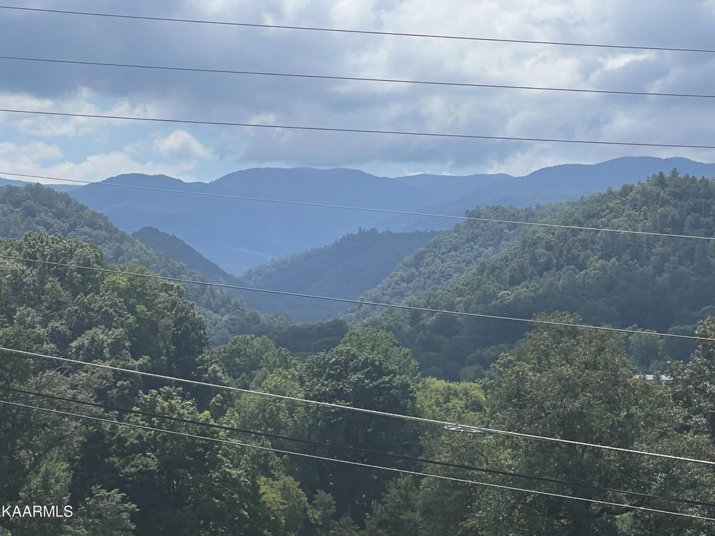 Photo of 343 Wears Valley Rd Rd, Townsend, TN 37882 (MLS # 1202705)