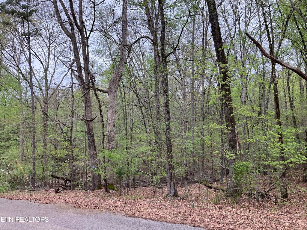 Photo of 910 Eagle Point Drive, Rockwood, TN 37854 (MLS # 1296673)
