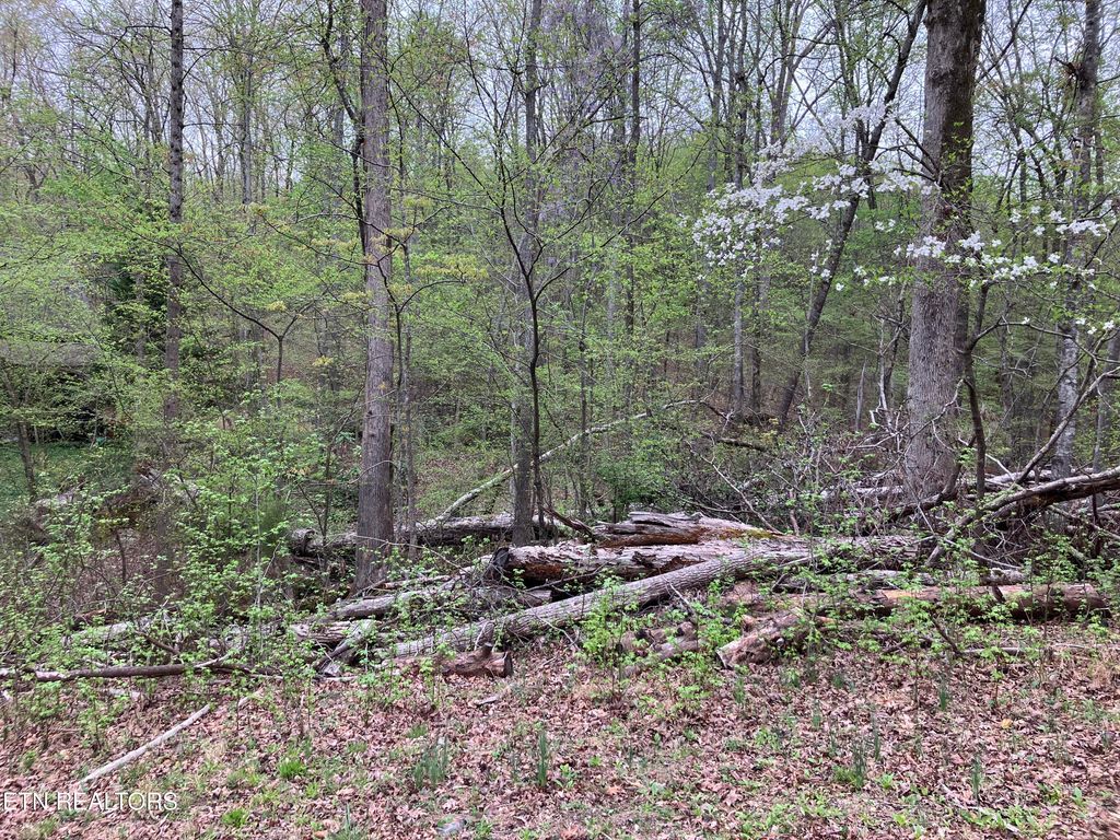 Photo of 56 Eagle Point Drive, Rockwood, TN 37854 (MLS # 1296676)