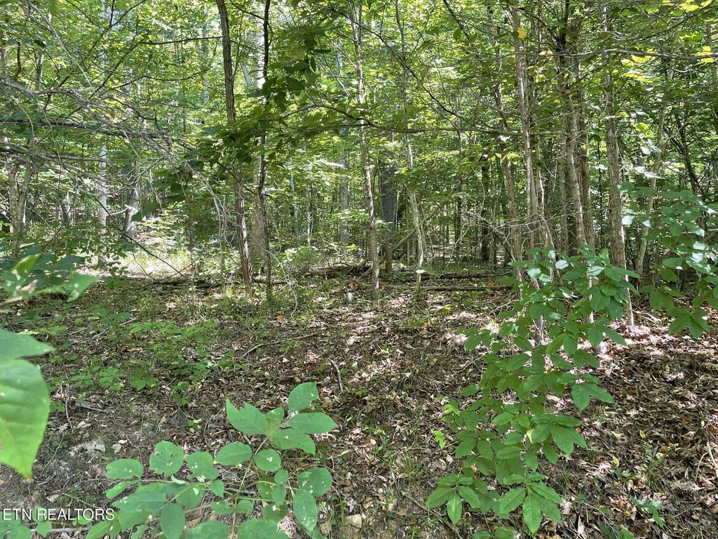 Photo of LOT 532 Whistle Valley Rd, New Tazewell, TN 37825 (MLS # 1306993)