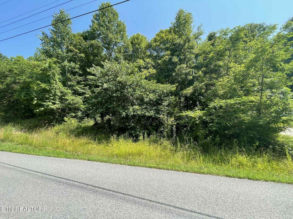 Photo of LOT 532 Whistle Valley Rd, New Tazewell, TN 37825 (MLS # 1306993)