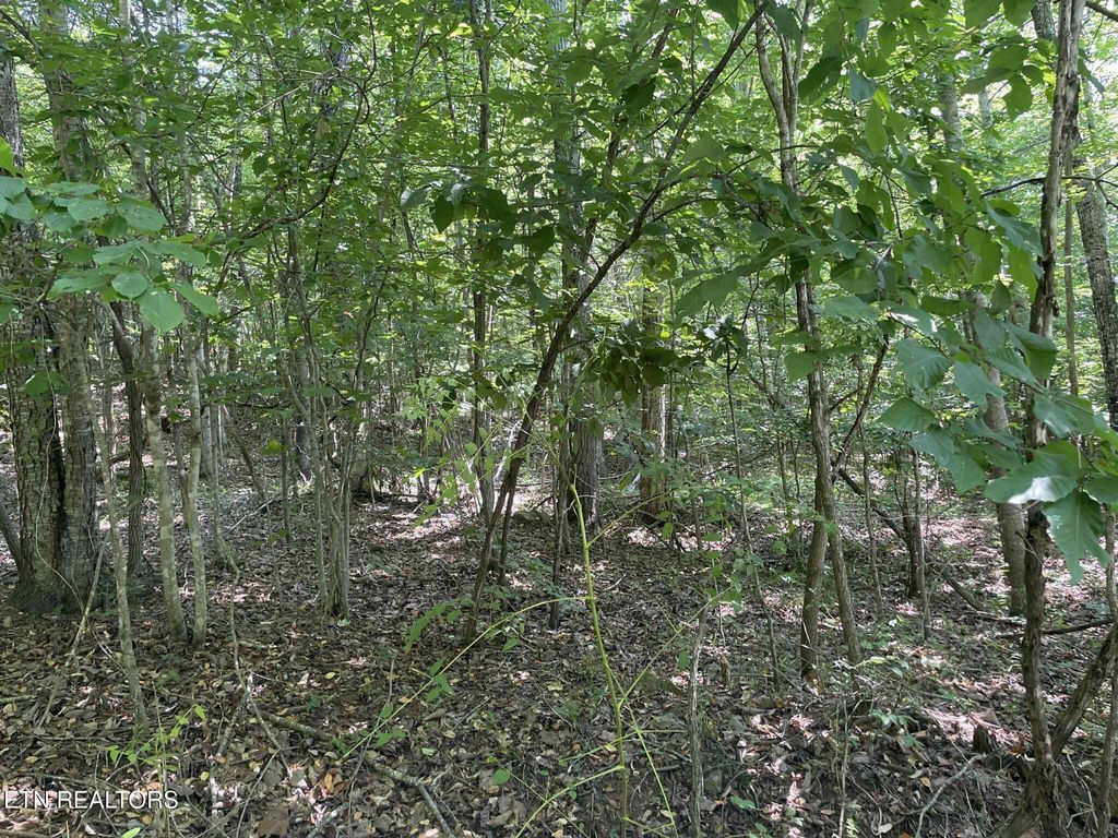 Photo of LOT 532 Whistle Valley Rd, New Tazewell, TN 37825 (MLS # 1306993)