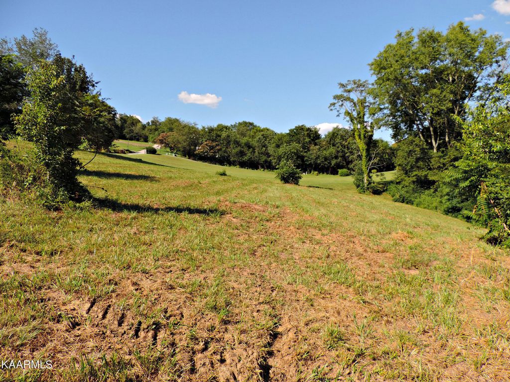 Photo of 32 Buckhead Trail, White Pine, TN 37890 (MLS # 1232959)