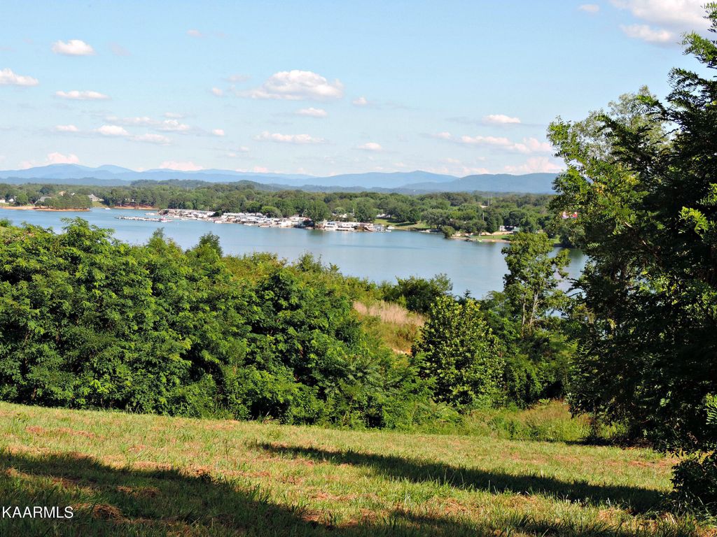 Photo of 32 Buckhead Trail, White Pine, TN 37890 (MLS # 1232959)