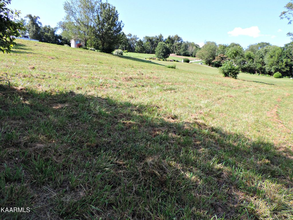 Photo of 32 Buckhead Trail, White Pine, TN 37890 (MLS # 1232959)