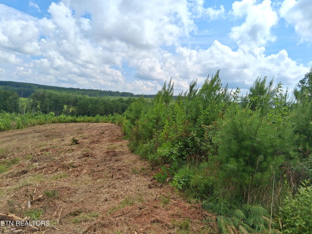 Photo of 5520 TN-399, Dunlap, TN 37327 (MLS # 1319213)