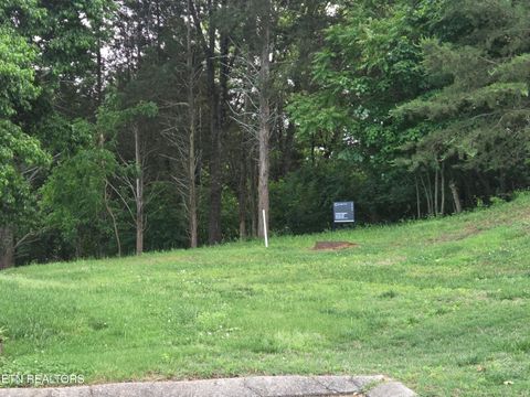 Tiny photo for 2417 Riverview Rd, Lenoir City, TN 37771 (MLS # 1339213)