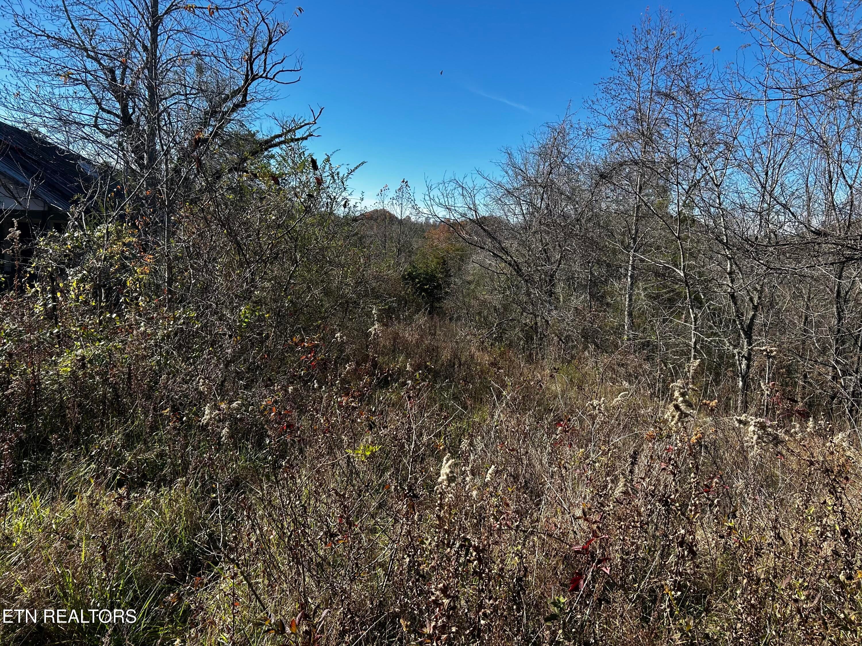 Shaddon Road Lot 1