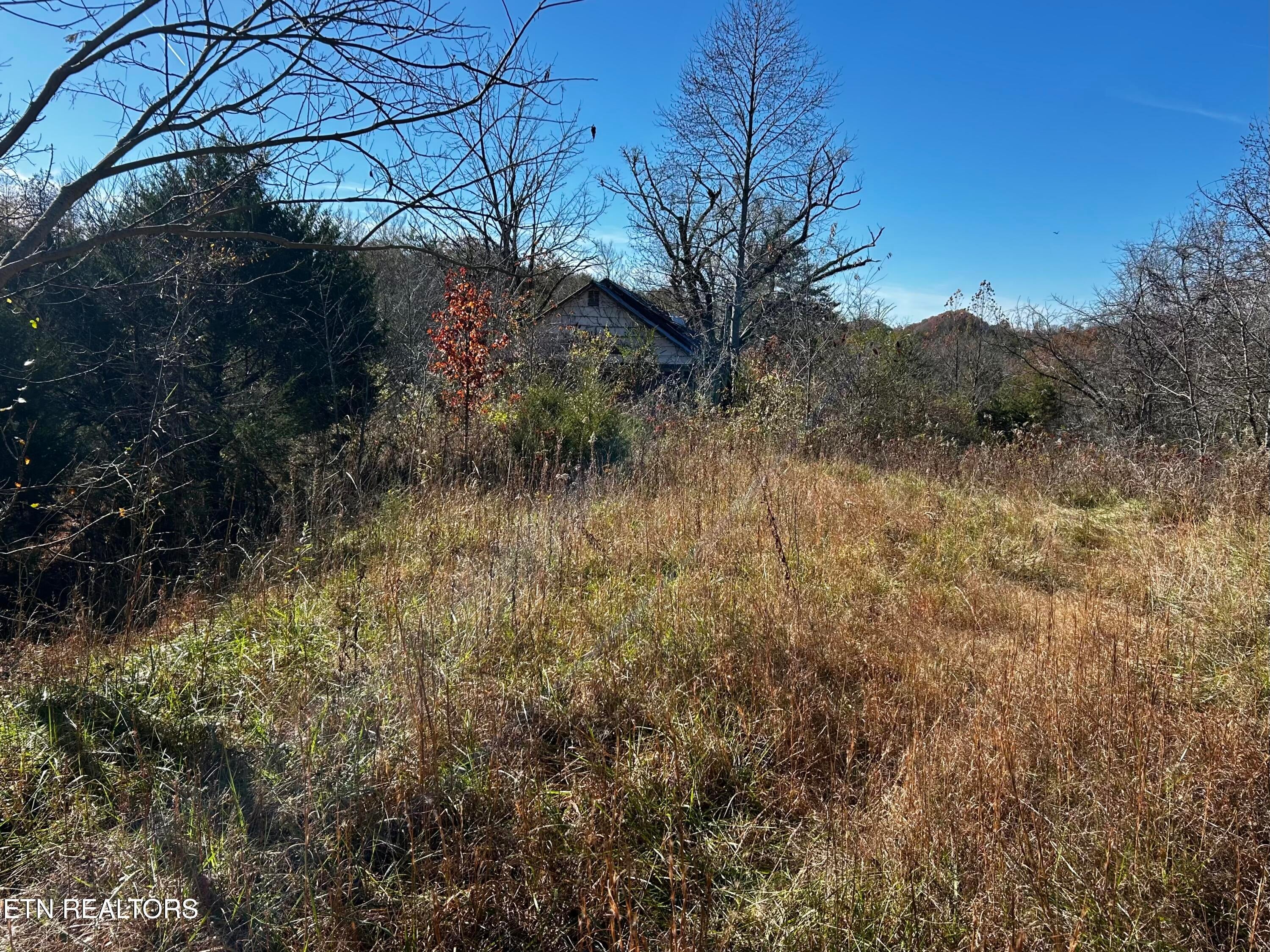 Shaddon Road Lot 1