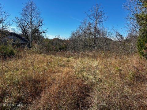 Photo of Shaddon Road Lot 1 ST, Tellico Plains, TN 37385 (MLS # 1345250)