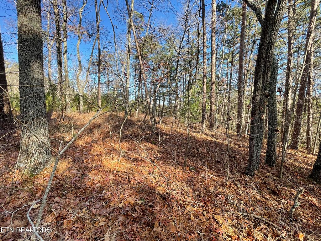 Photo of 27 Tall Pine Circle, Tellico Plains, TN 37385 (MLS # 1248268)