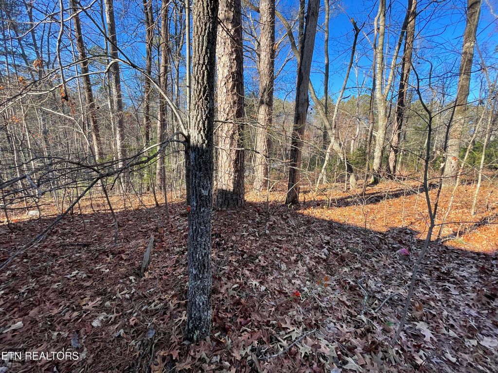 Photo of 27 Tall Pine Circle, Tellico Plains, TN 37385 (MLS # 1248268)