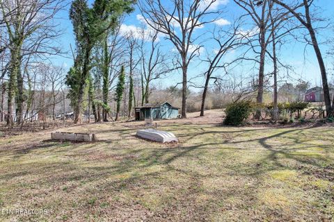Tiny photo for 406 Payne Lane, Spring City, TN 37381 (MLS # 1329936)