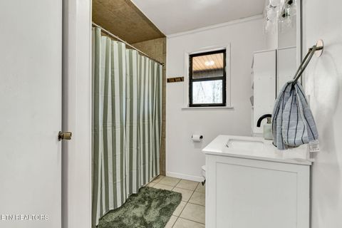 Tiny photo for 406 Payne Lane, Spring City, TN 37381 (MLS # 1329936)