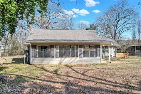 Photo of 406 Payne Lane, Spring City, TN 37381 (MLS # 1329936)
