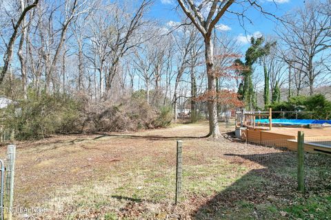 Tiny photo for 406 Payne Lane, Spring City, TN 37381 (MLS # 1329936)