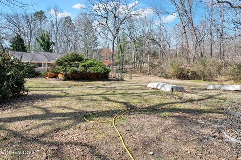 Tiny photo for 406 Payne Lane, Spring City, TN 37381 (MLS # 1329936)