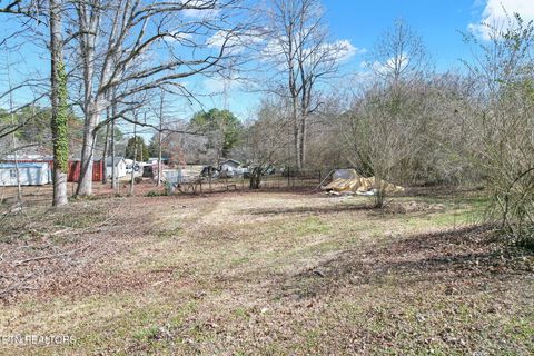 Tiny photo for 406 Payne Lane, Spring City, TN 37381 (MLS # 1329936)